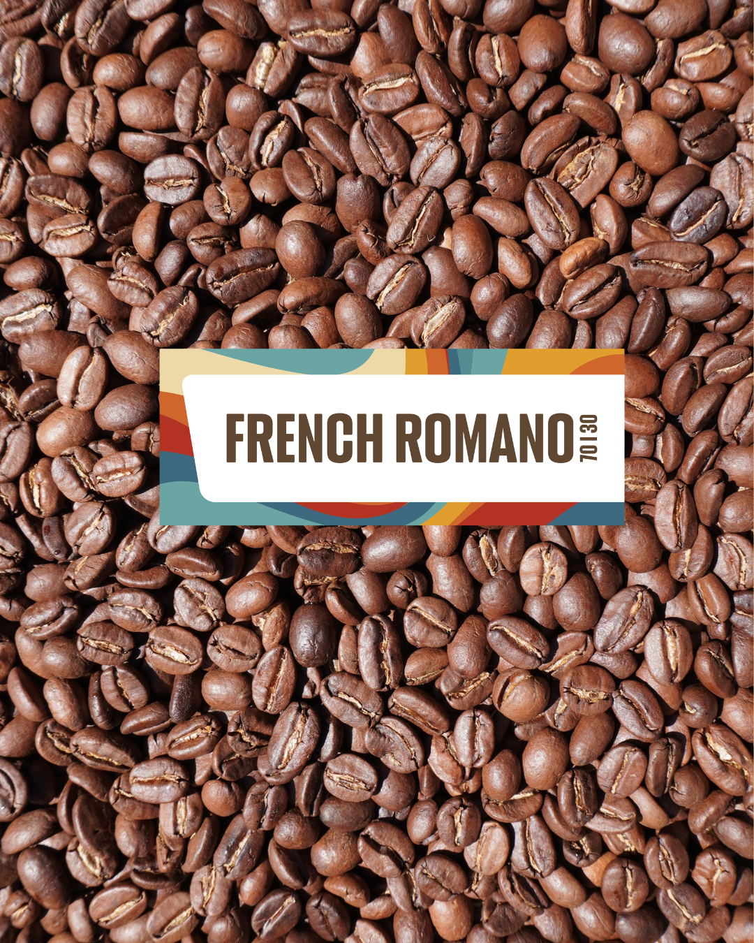 French Romano 70/30