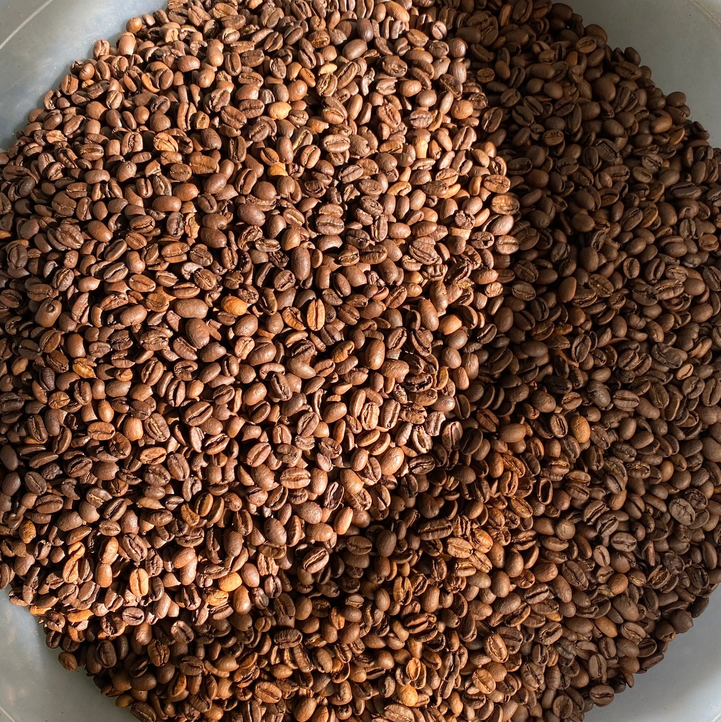 A closer look at African Chocolate Coffee Beans